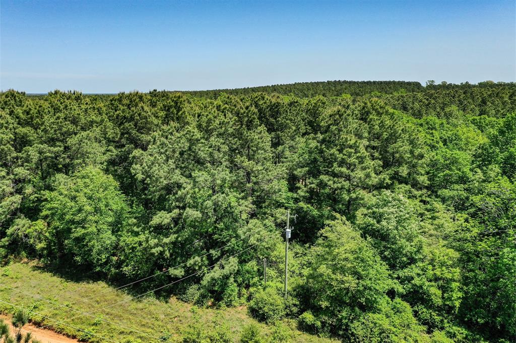 18.897 Ac Cr 1050, Crockett, Texas image 11