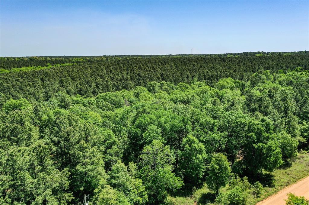 18.897 Ac Cr 1050, Crockett, Texas image 16