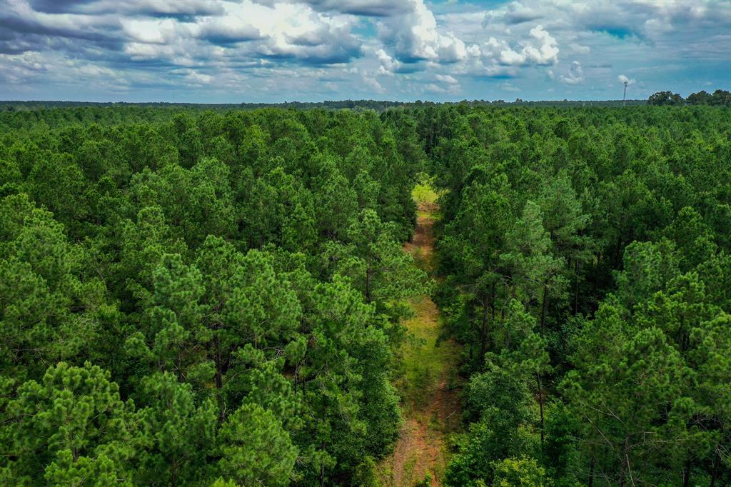 18.897 Ac Cr 1050, Crockett, Texas image 12