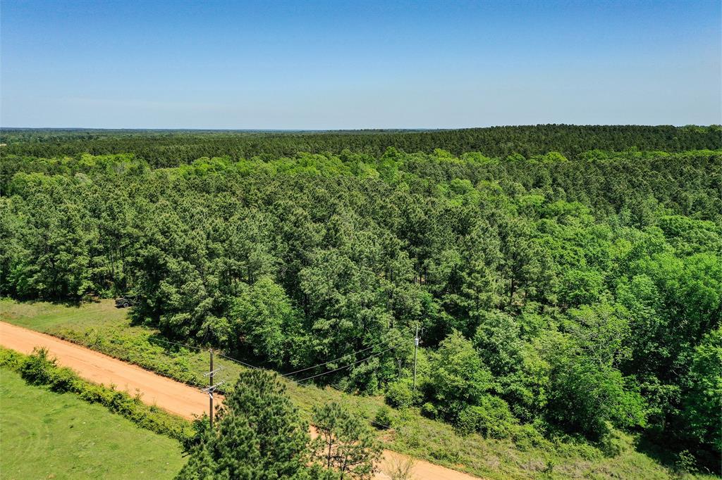18.897 Ac Cr 1050, Crockett, Texas image 9