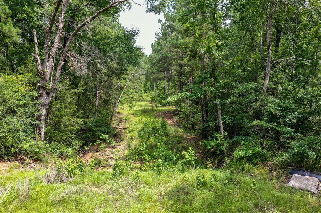 18.897 Ac Cr 1050, Crockett, Texas image 29