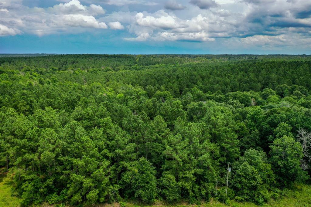 18.897 Ac Cr 1050, Crockett, Texas image 11