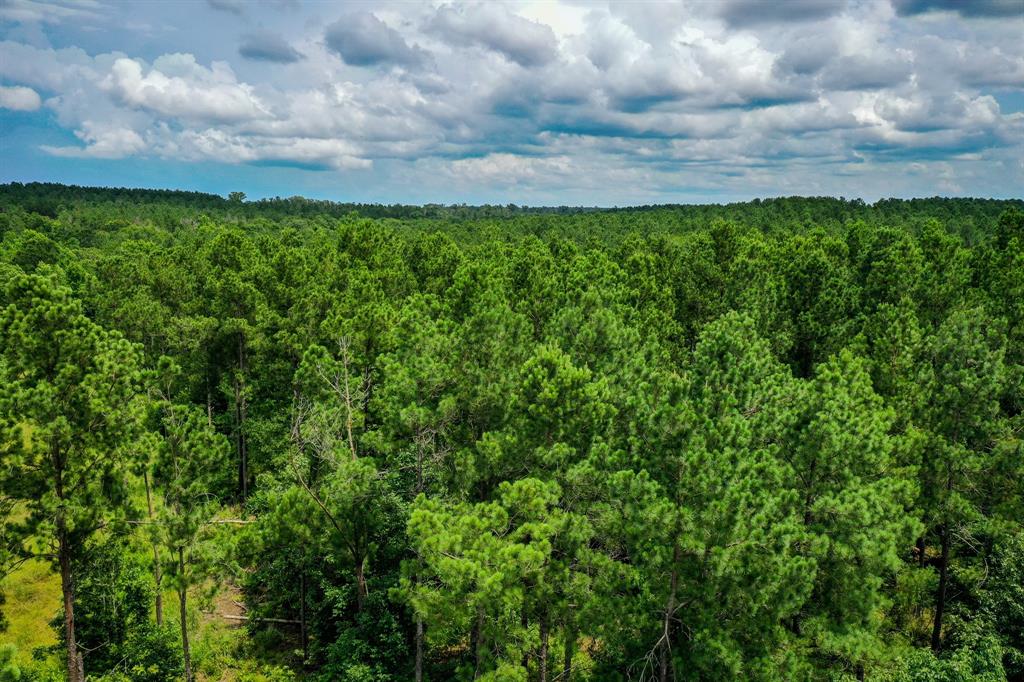 18.897 Ac Cr 1050, Crockett, Texas image 14