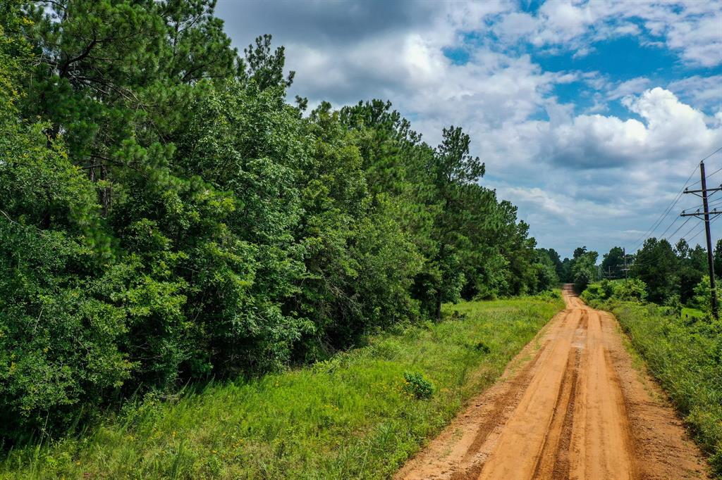 18.897 Ac Cr 1050, Crockett, Texas image 9