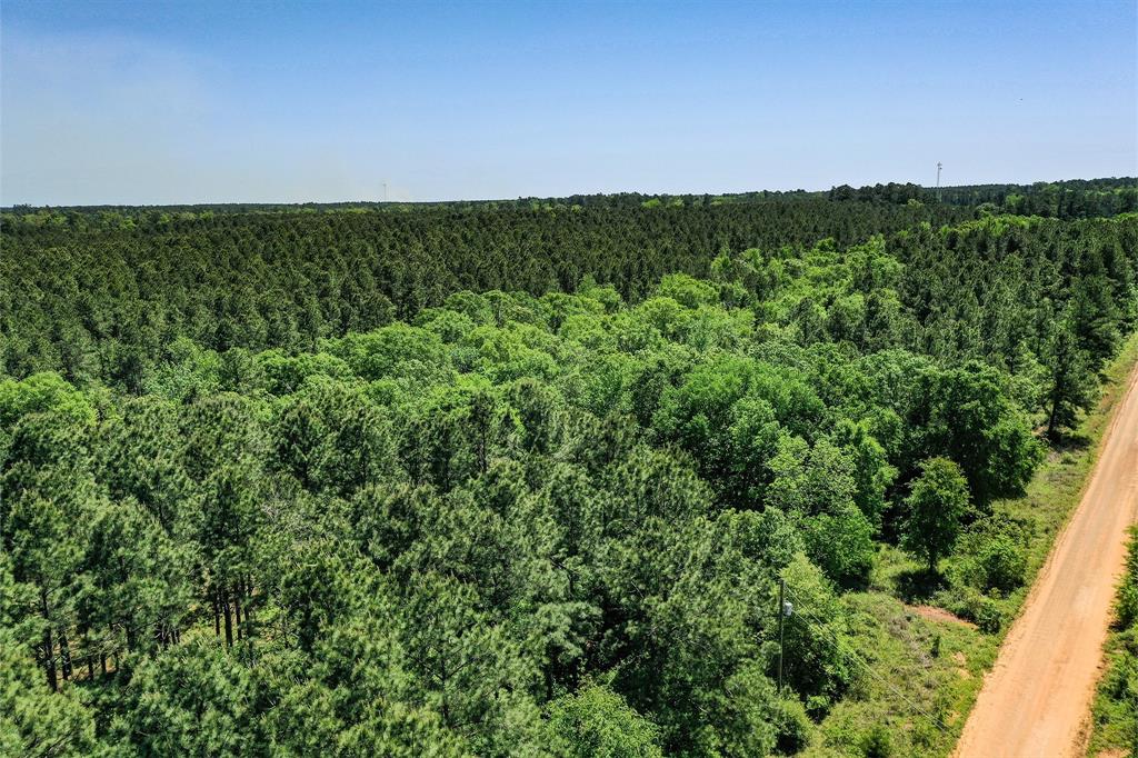 18.897 Ac Cr 1050, Crockett, Texas image 17