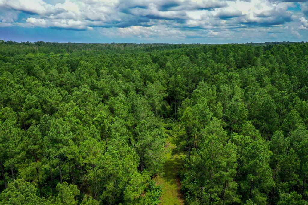 18.897 Ac Cr 1050, Crockett, Texas image 6