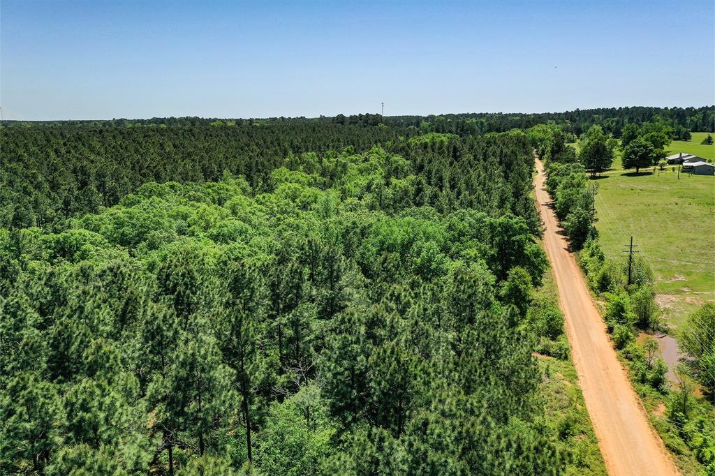 18.897 Ac Cr 1050, Crockett, Texas image 18