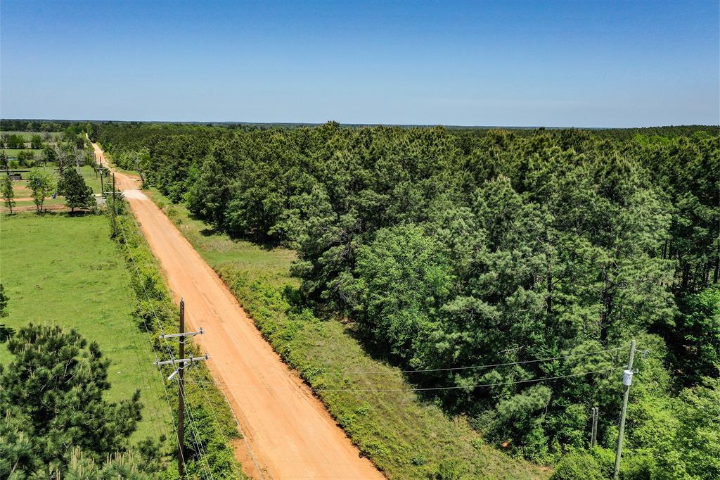 18.897 Ac Cr 1050, Crockett, Texas image 3