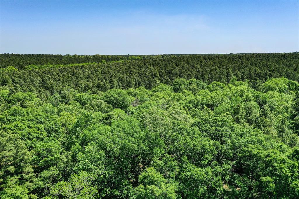 18.897 Ac Cr 1050, Crockett, Texas image 15