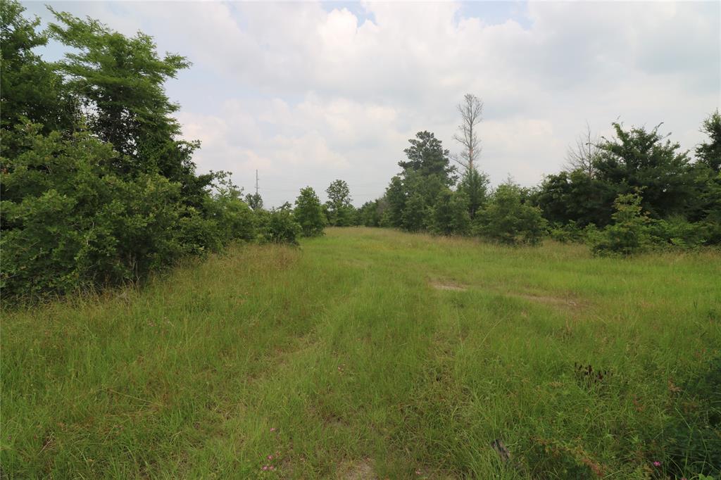 72 Julia Justice Road, Huntsville, Texas image 14