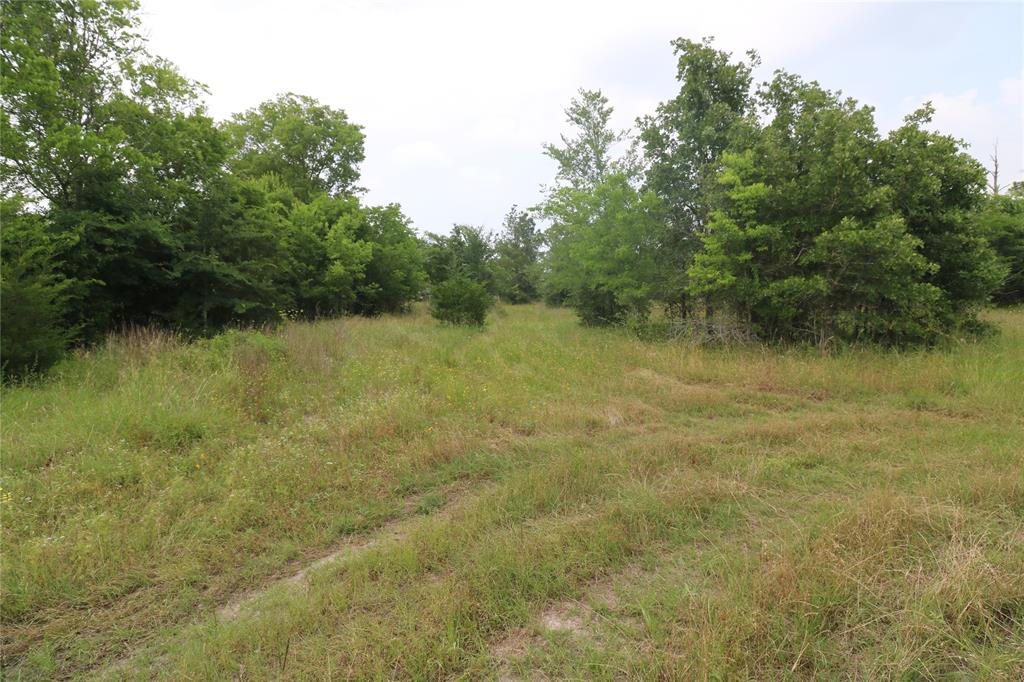 72 Julia Justice Road, Huntsville, Texas image 13