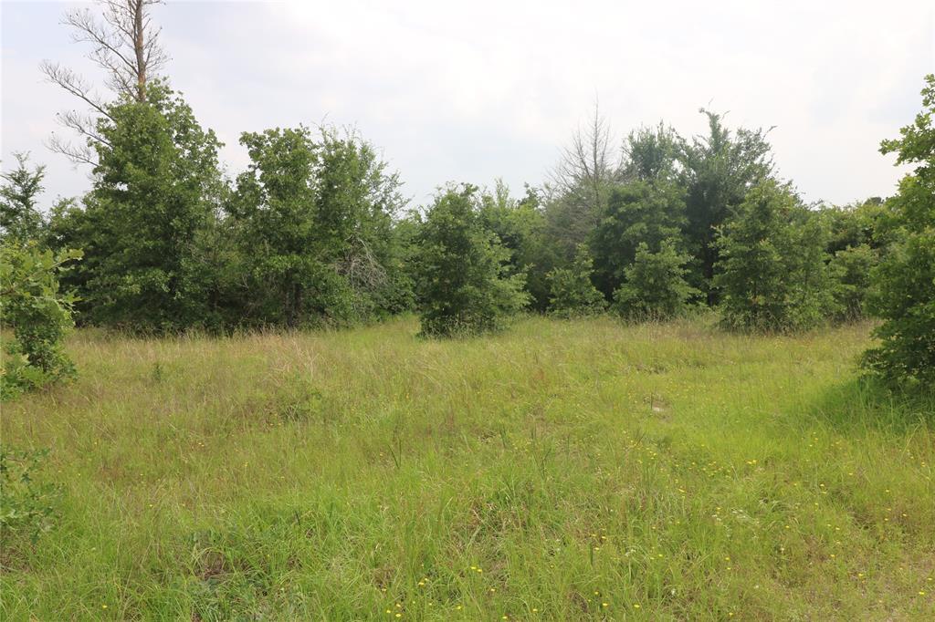 72 Julia Justice Road, Huntsville, Texas image 11