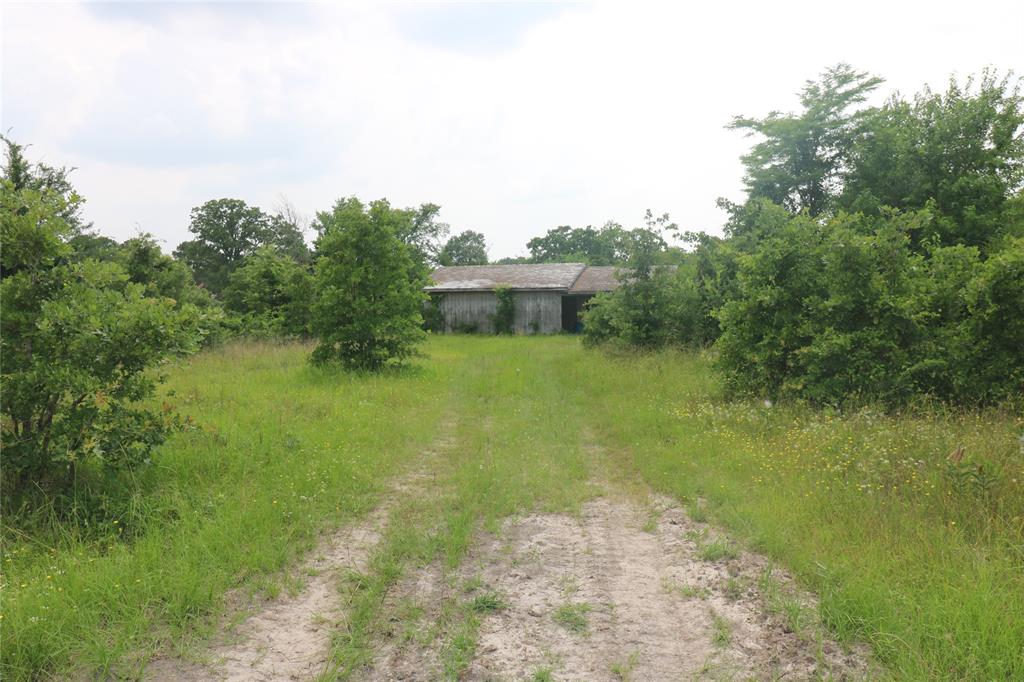 72 Julia Justice Road, Huntsville, Texas image 7