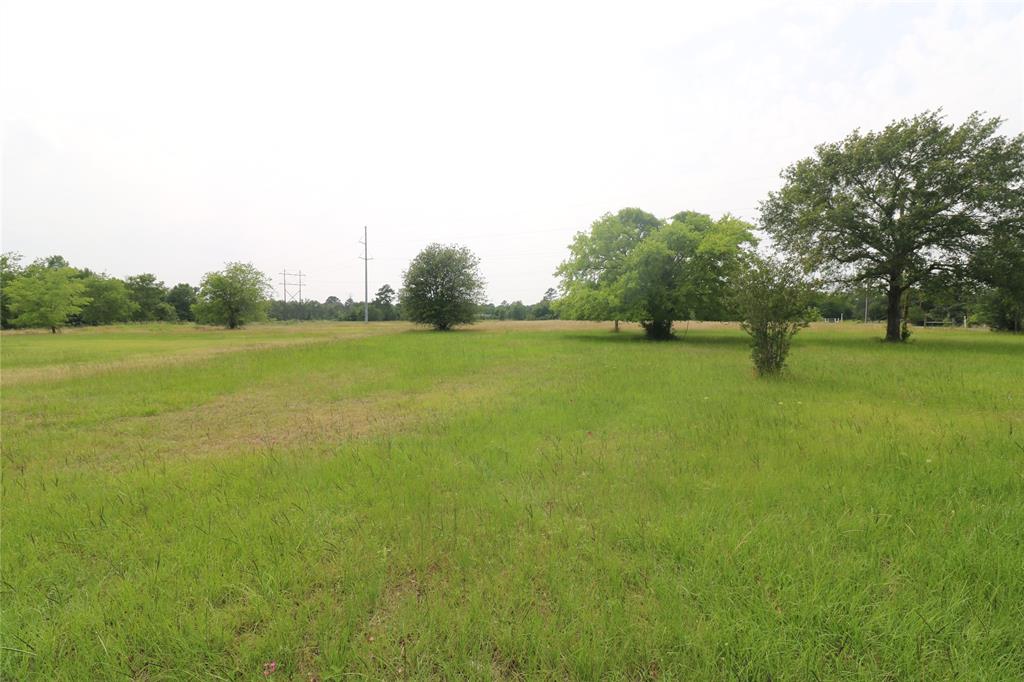 72 Julia Justice Road, Huntsville, Texas image 16