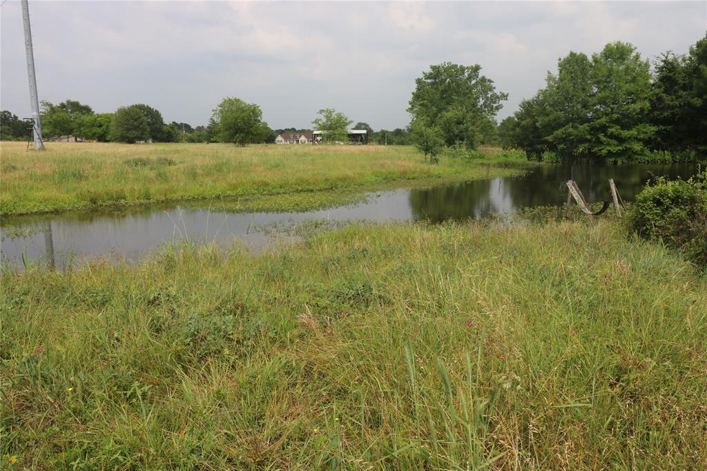 72 Julia Justice Road, Huntsville, Texas image 4