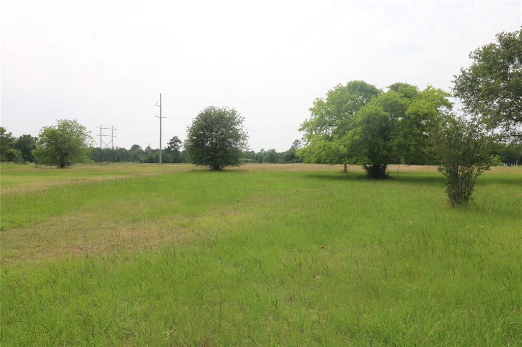 72 Julia Justice Road, Huntsville, Texas image 17