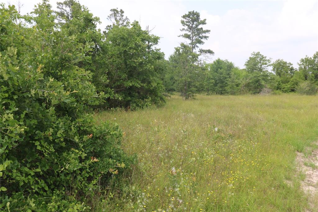 72 Julia Justice Road, Huntsville, Texas image 12