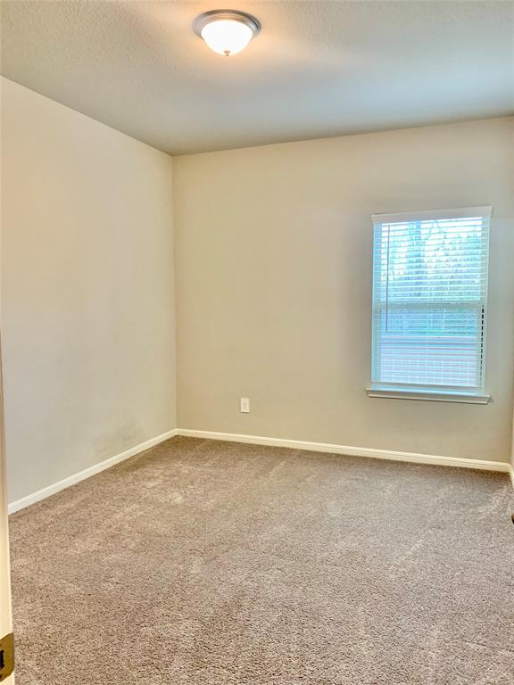 907 Golden Willow Lane, Conroe, Texas image 30
