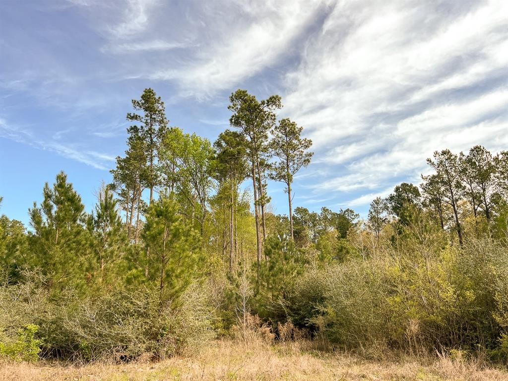 Joe Hudson Road, Trinity, Texas image 2