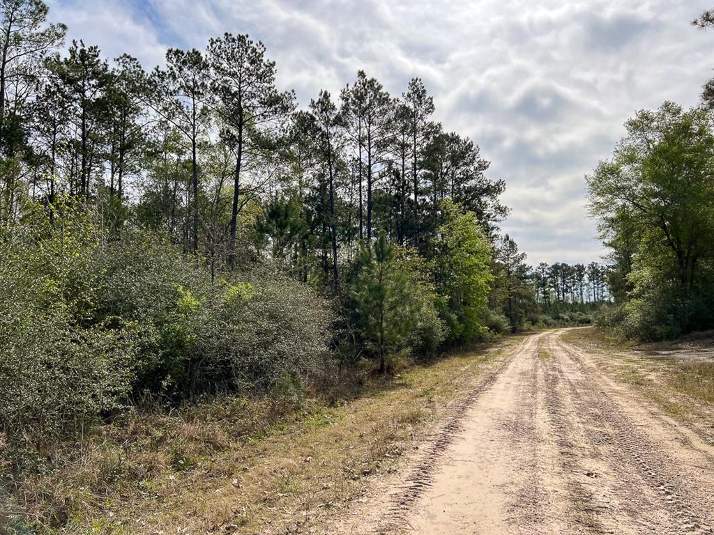 Joe Hudson Road, Trinity, Texas image 11