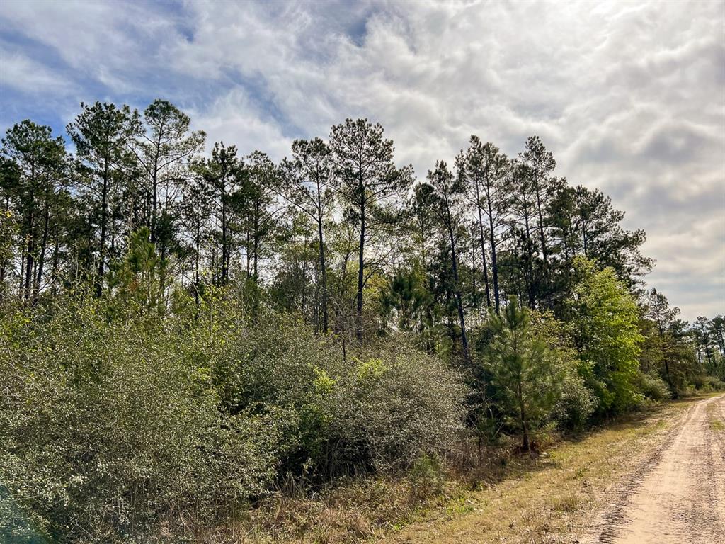 Joe Hudson Road, Trinity, Texas image 12