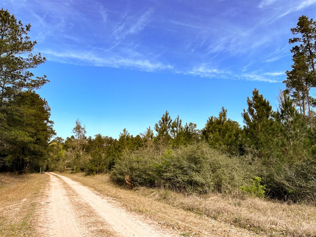 Joe Hudson Road, Trinity, Texas image 10