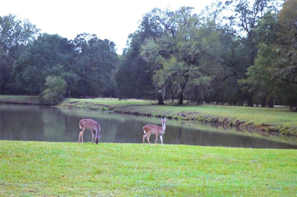 4658 Cypress Lakes Circle, Cleveland, Texas image 7