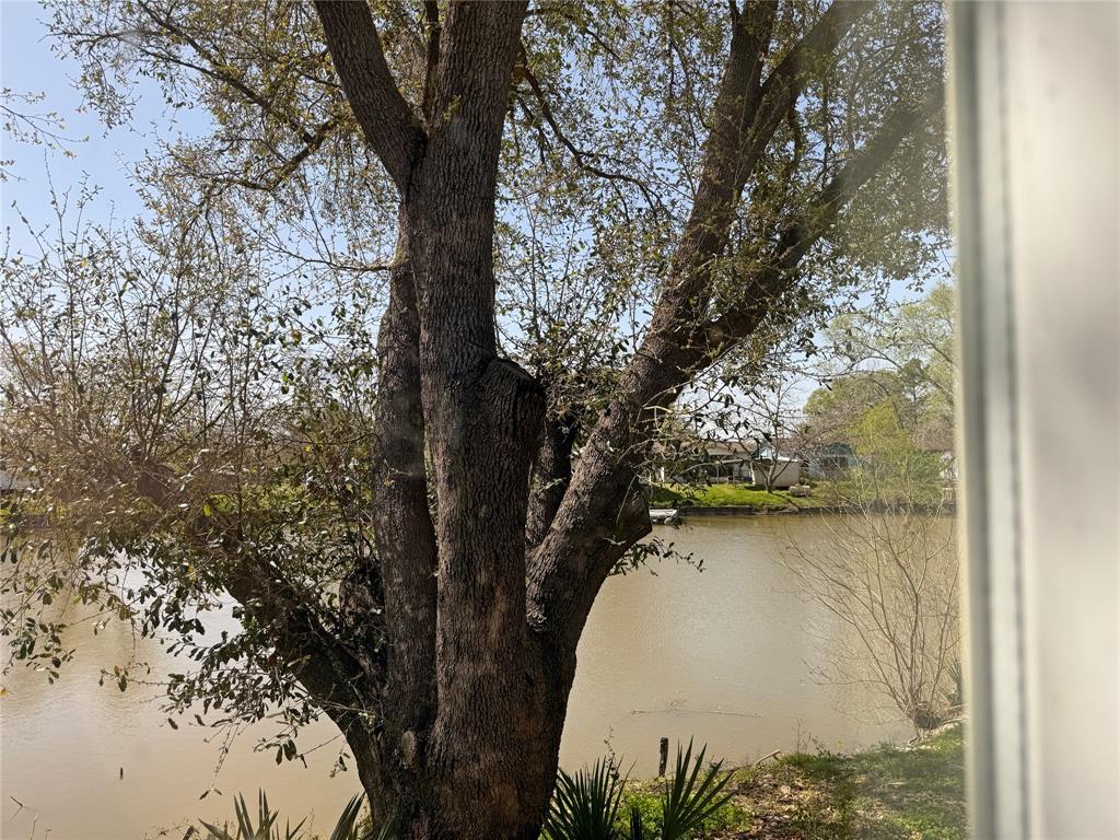 585 River Oaks Drive, Trinity, Texas image 4