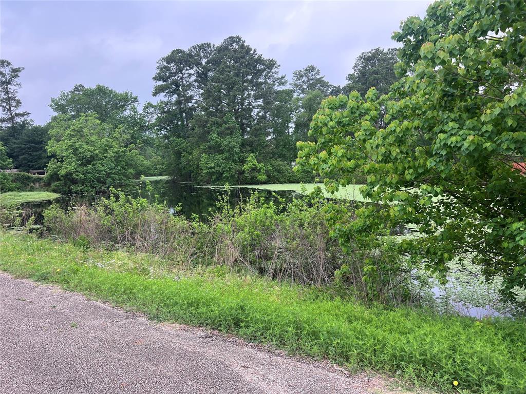 37135 Azalea Trail, Magnolia, Texas image 6