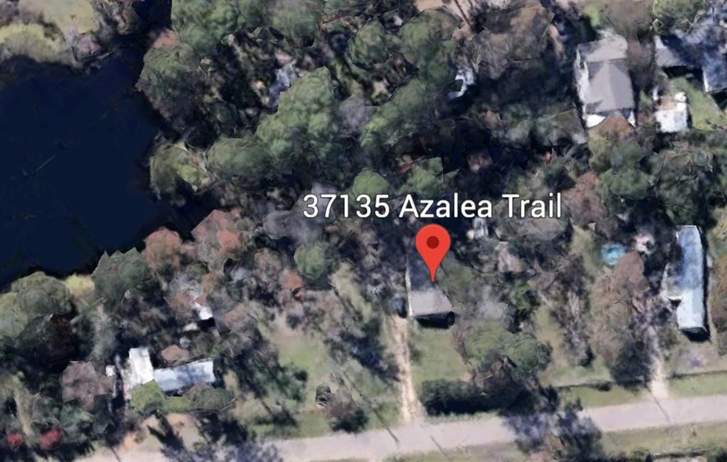 37135 Azalea Trail, Magnolia, Texas image 4