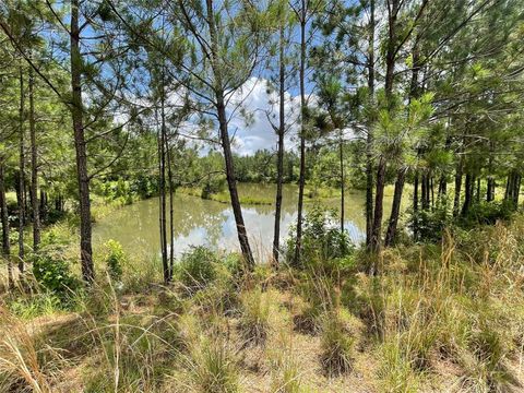 Photo of 240 County Road 341, Cleveland, TX 77327 (MLS # 84011668) Photo of 240 County Road 341, Cleveland, TX 77327 (MLS # 84011668)