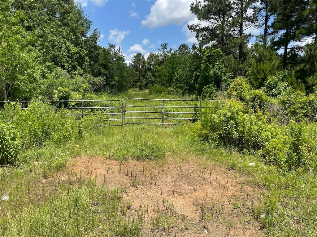 240 County Road 341, Cleveland, Texas image 6