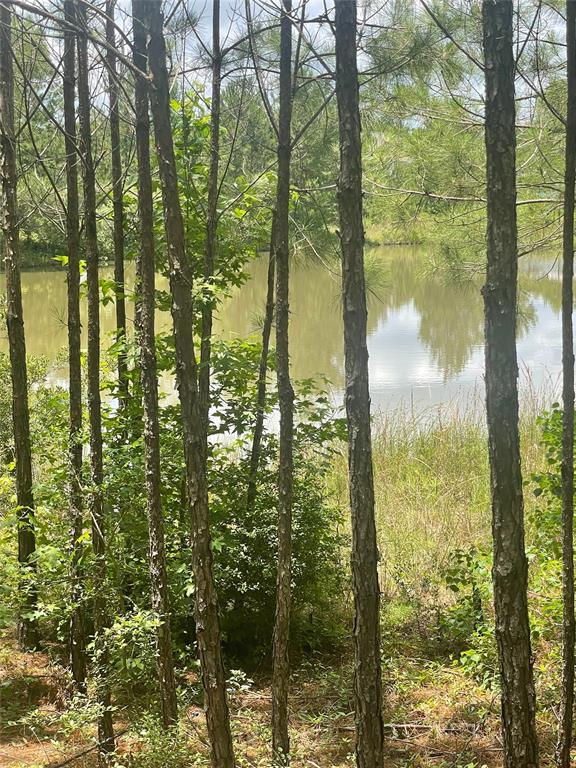 240 County Road 341, Cleveland, Texas image 10