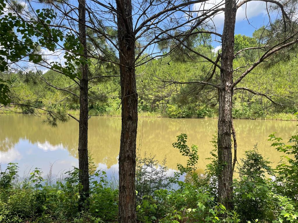 240 County Road 341, Cleveland, Texas image 8