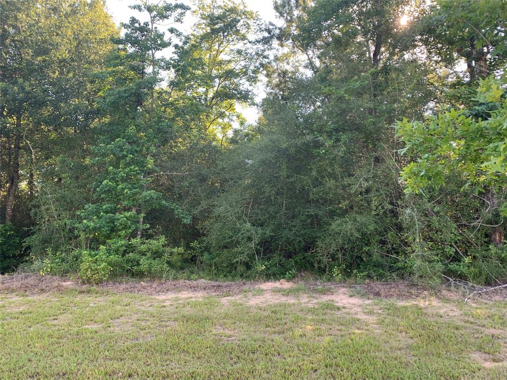 517 Grand Palisade Place