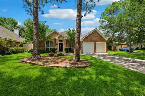 14010 Boulder Falls Court Houston TX 77062