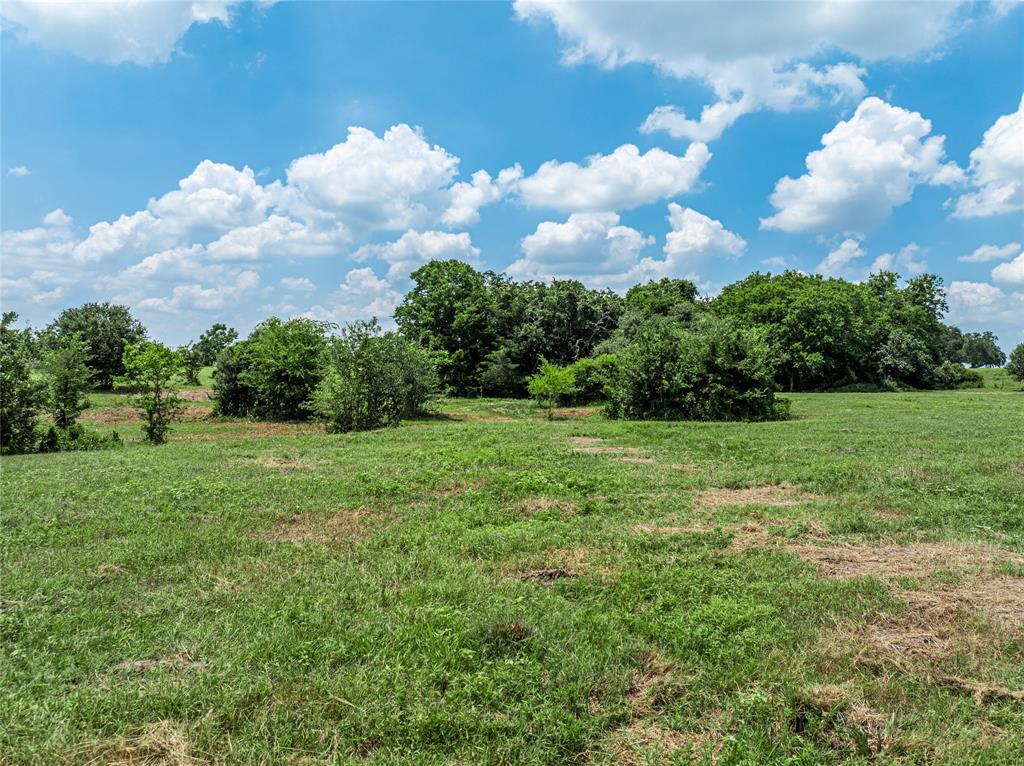 TBD N Nassau Road, Round Top, Texas image 7