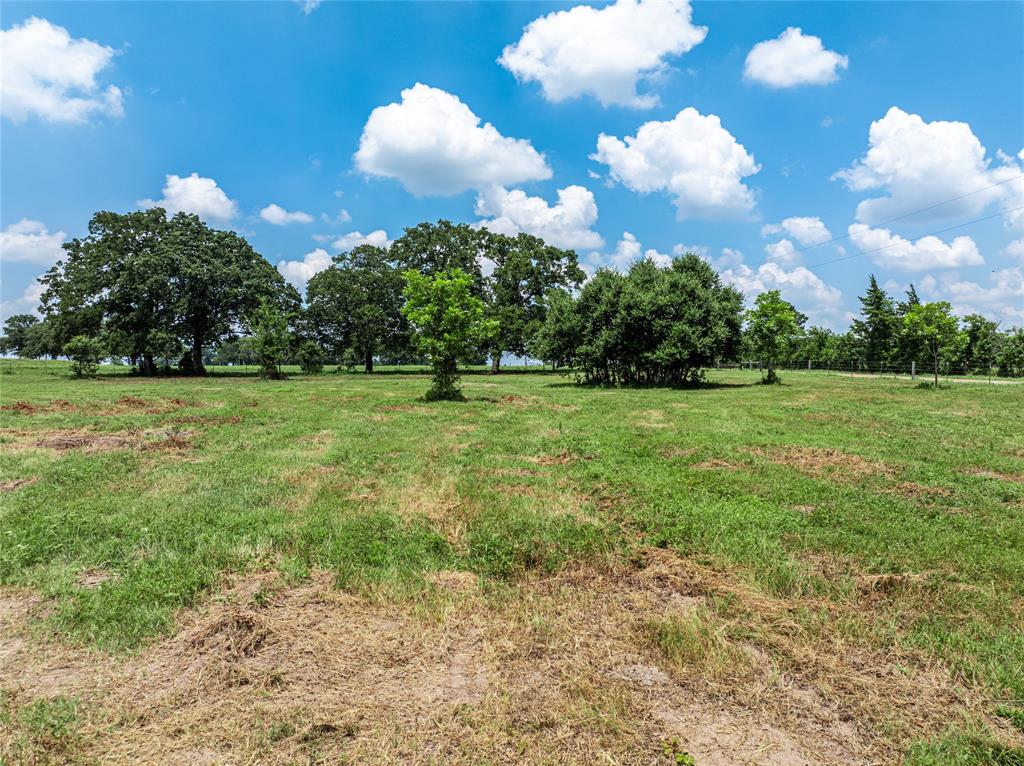 TBD N Nassau Road, Round Top, Texas image 4