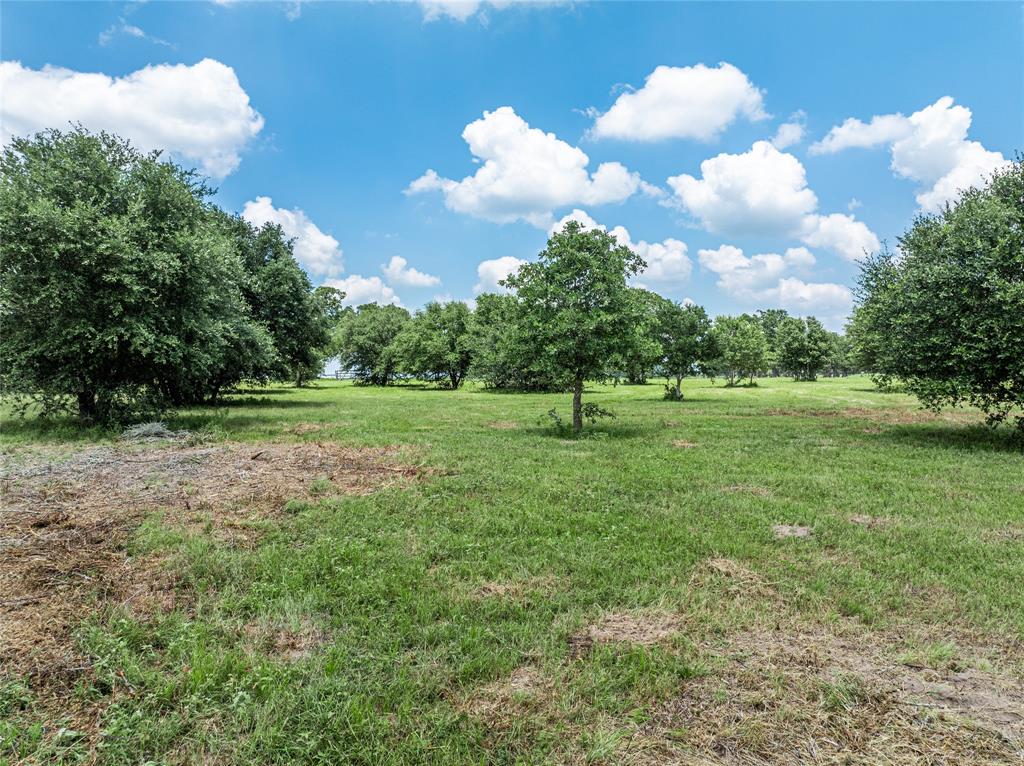 TBD N Nassau Road, Round Top, Texas image 5