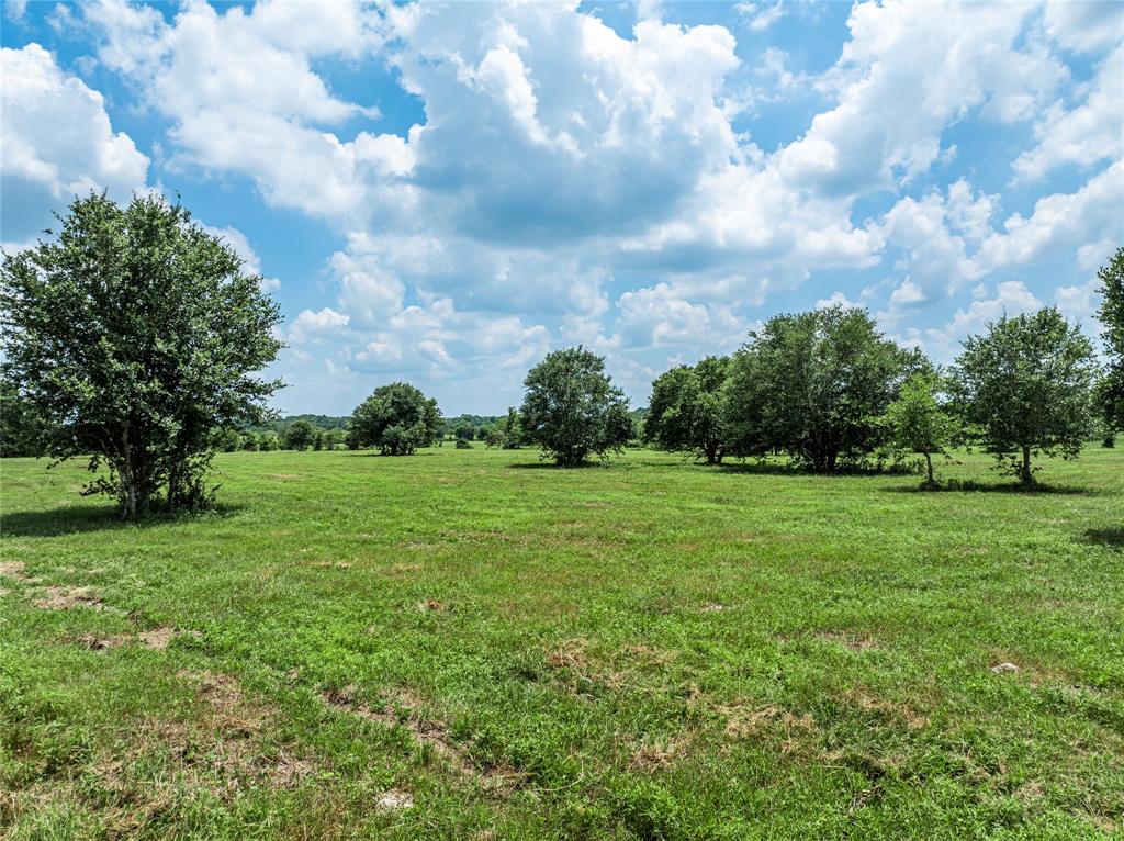 TBD N Nassau Road, Round Top, Texas image 8