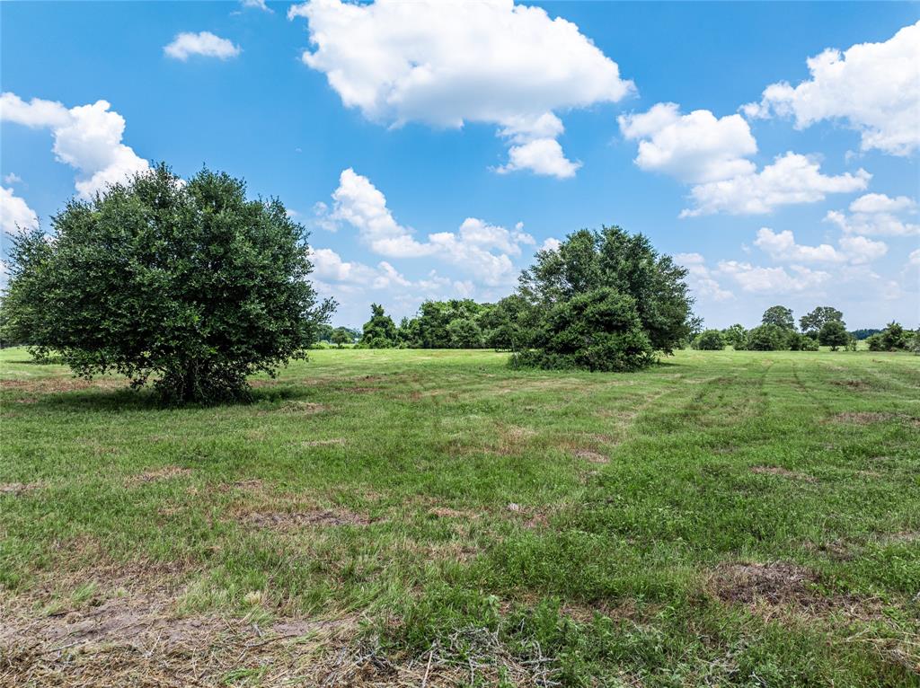 TBD N Nassau Road, Round Top, Texas image 6