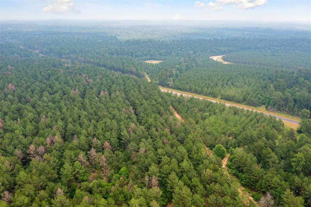 15899 Wood Grove Way, Willis, Texas image 14