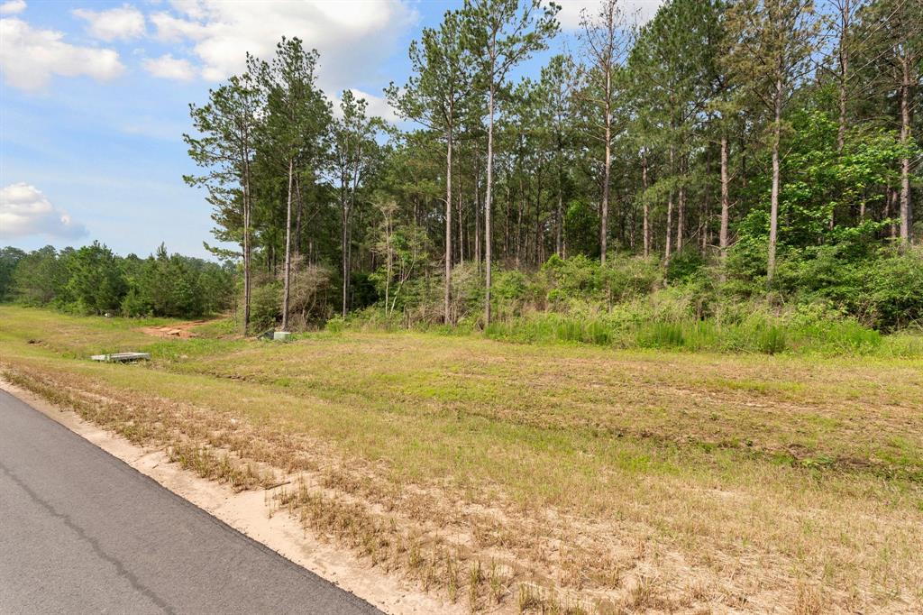 15899 Wood Grove Way, Willis, Texas image 9