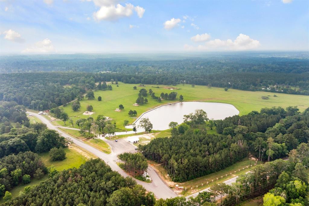 15899 Wood Grove Way, Willis, Texas image 16
