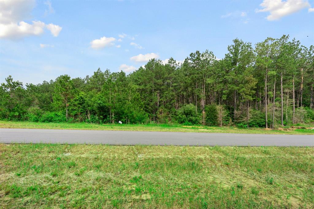15899 Wood Grove Way, Willis, Texas image 8