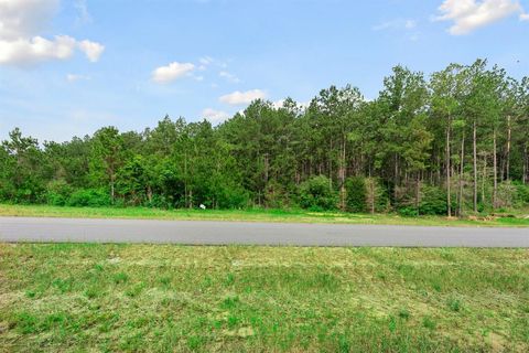 15899 Wood Grove Way Willis TX 77378