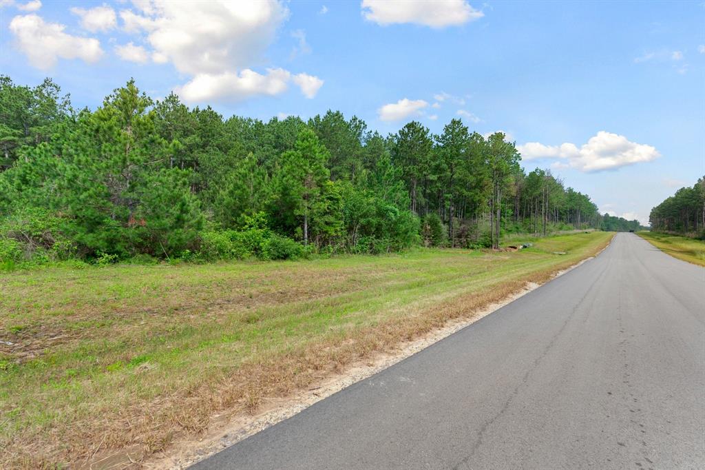 15899 Wood Grove Way, Willis, Texas image 7
