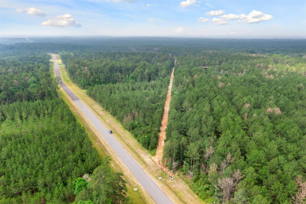 15899 Wood Grove Way, Willis, Texas image 10
