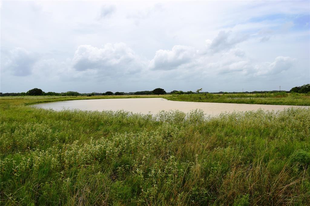 Tract 3 County Road 106, Columbus, Texas image 20