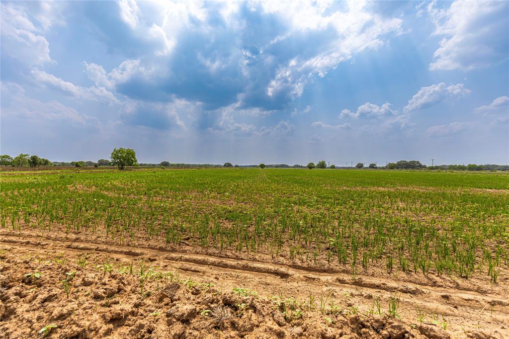 Tract 3 County Road 106, Columbus, Texas image 16